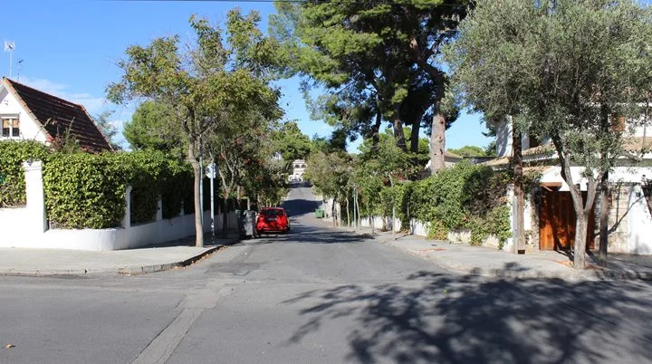 Calle arbolada con pinos y chalets tras setos en La Cañada (Paterna)