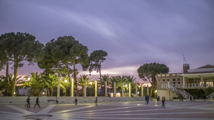 Plaza al atardecer con pinos y palmeras en l'Eliana, Valencia