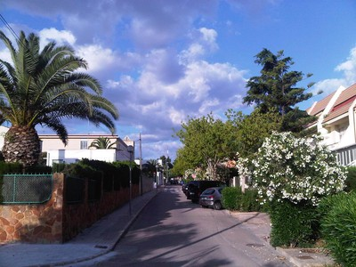 Calle residencial con palmera, casas blancas y tejados de teja en Godella